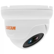 IP-камера видеонаблюдения CARCAM CAM-5878P